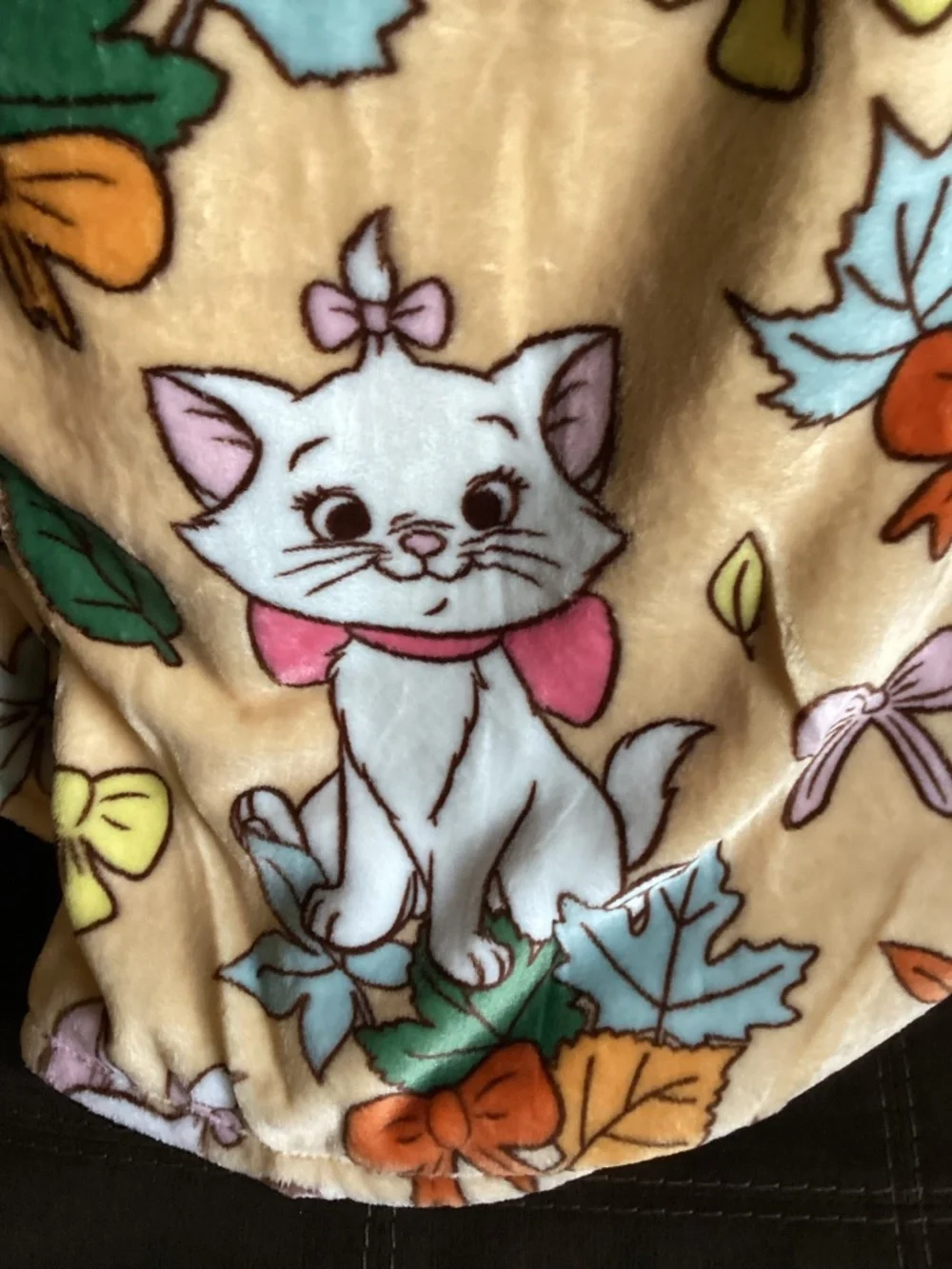 New Disney Aristocats Fall Throw